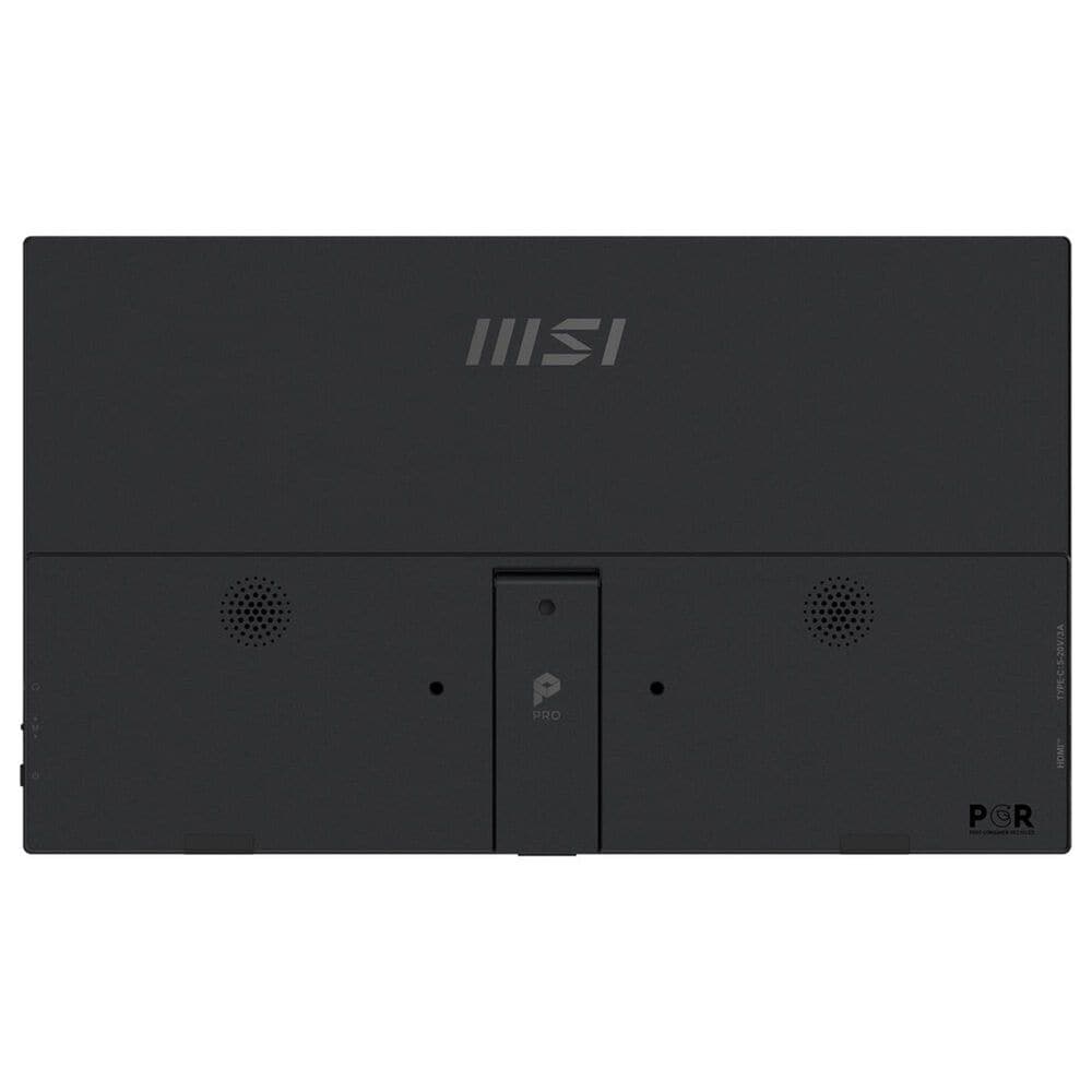MSI 15.6" Full HD IPS Portable Monitor in Matte Black, , large