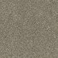 Phenix Paxton Carpet in Upscale, , large