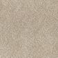 Dixie Home Perfect Summer Carpet in Camp, , large
