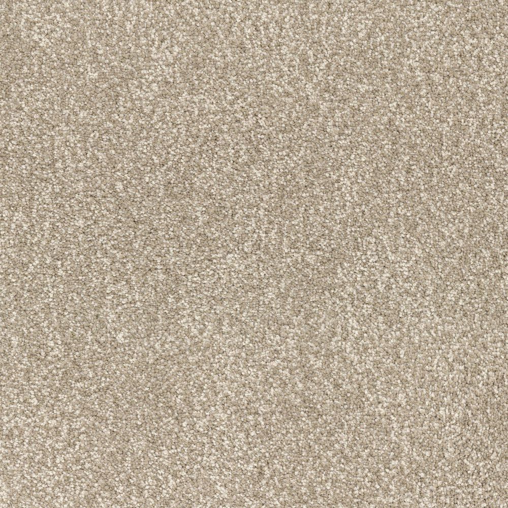 Dixie Home Perfect Summer Carpet in Camp, , large