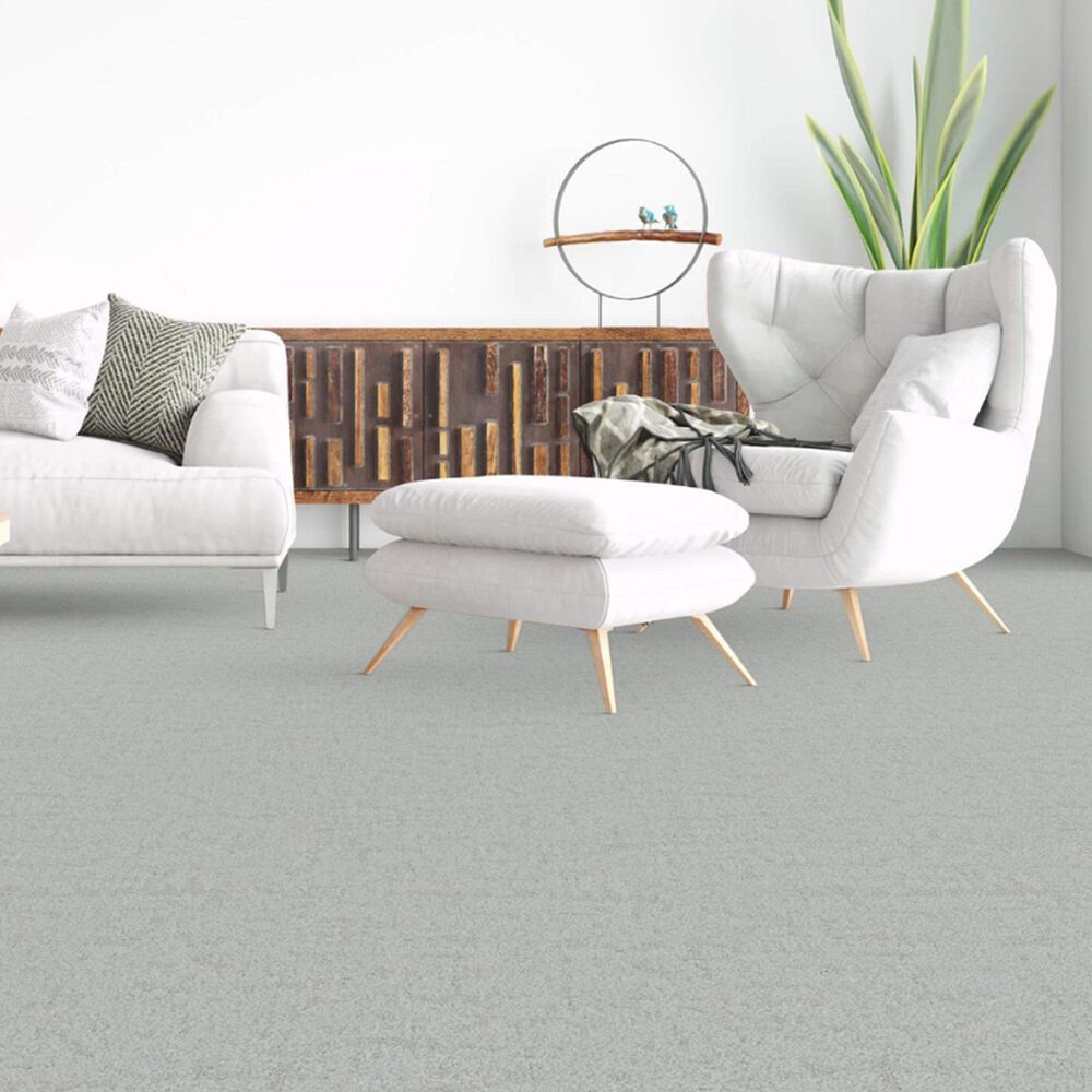 Dixie Home Genuine Carpet in Positive, , large