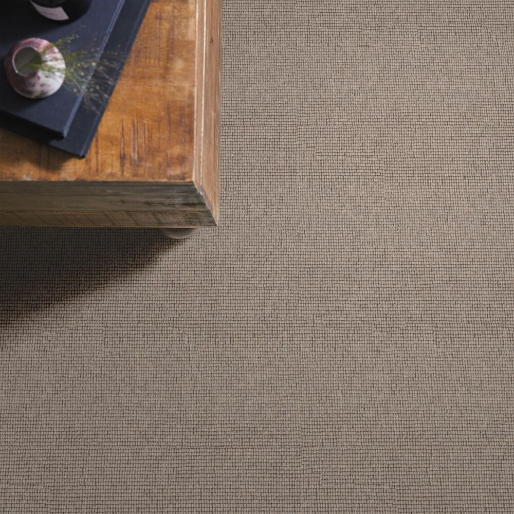 Anderson Tuftex Touchstone Carpet in Twig, , large