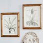 Maple and Jade 22" x 17" Leaves Framed Wall Art in Distressed Brown (Set of 2), , large