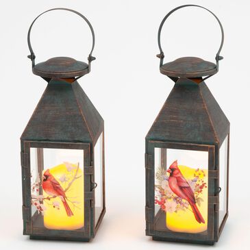 The Gerson Company 12.3"H Metal and Glass Cardinal Design Lantern with LED Candle and Timer in Brown (Set of 2), , large