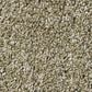 Shaw Luminous Carpet in Giraffe, , large