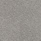 Dixie Home Maverick Carpet in Frenchie, , large