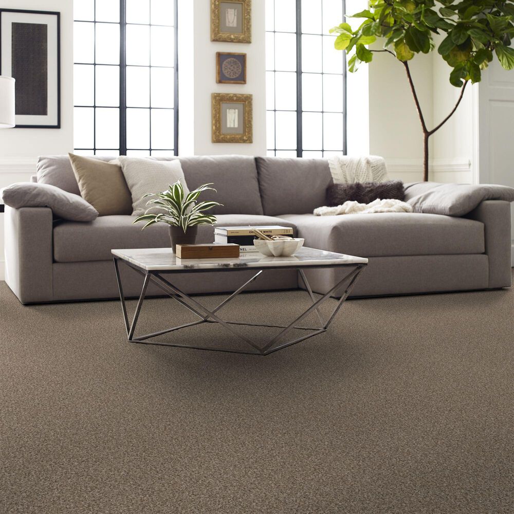 Shaw Yes You Can I Carpet in Sea Shell, , large