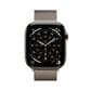 Apple Watch Series 11 (GPS+Cellular) 46mm Titanium Case with Natural Milanese Loop - S/M - (2025), , large