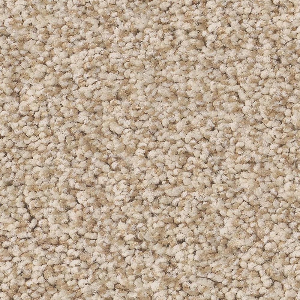 Anderson Tuftex Avalon Bay Carpet in Down Home, , large