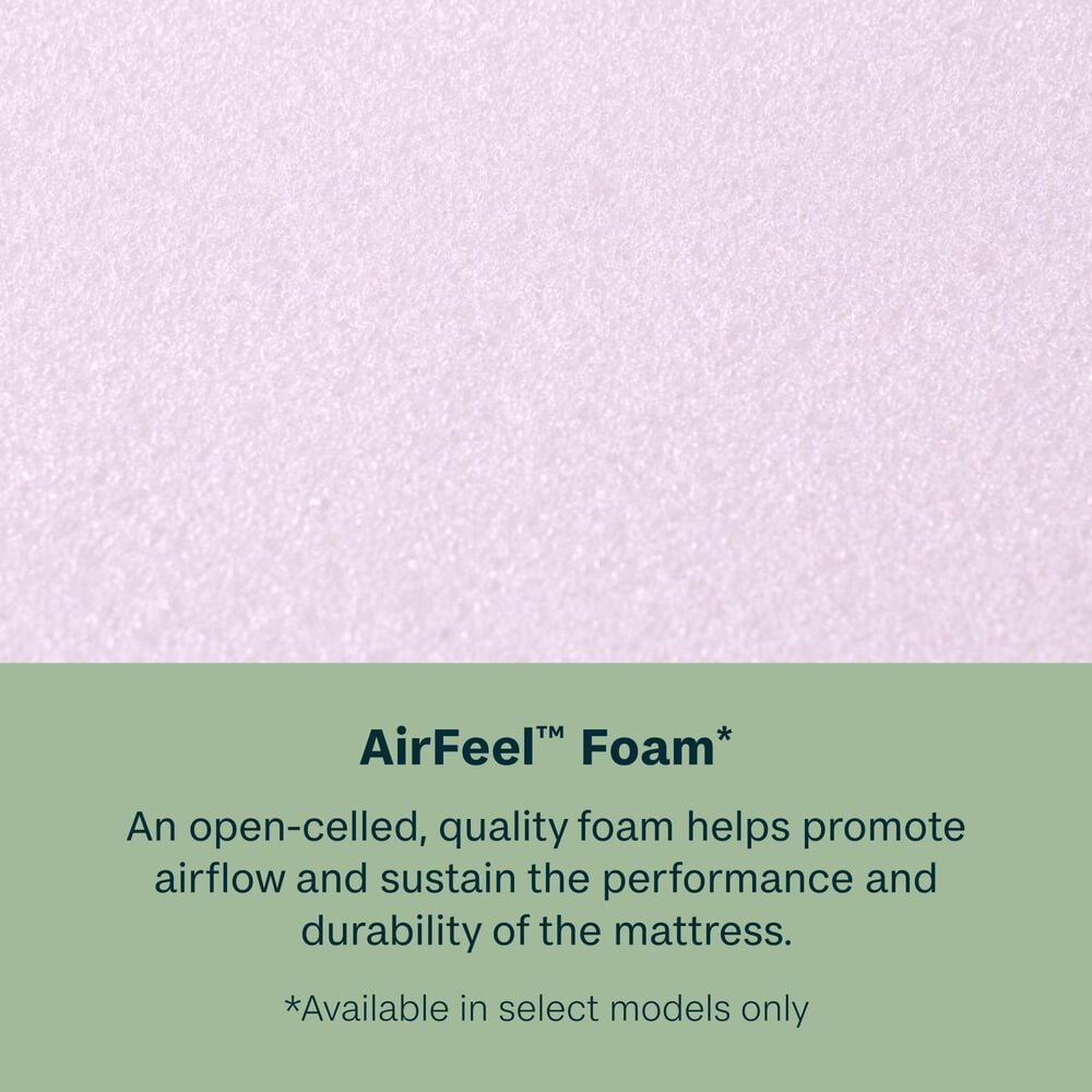BeautySleep Essential Dream 12.25&quot; Medium Euro Top Full Mattress, , large