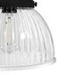 Hunter Cypress Grove 10" 1-Light Pendant in Natural Iron, , large
