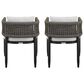 Blue River Felicia Patio Dining Chair in Black (Set of 2), , large