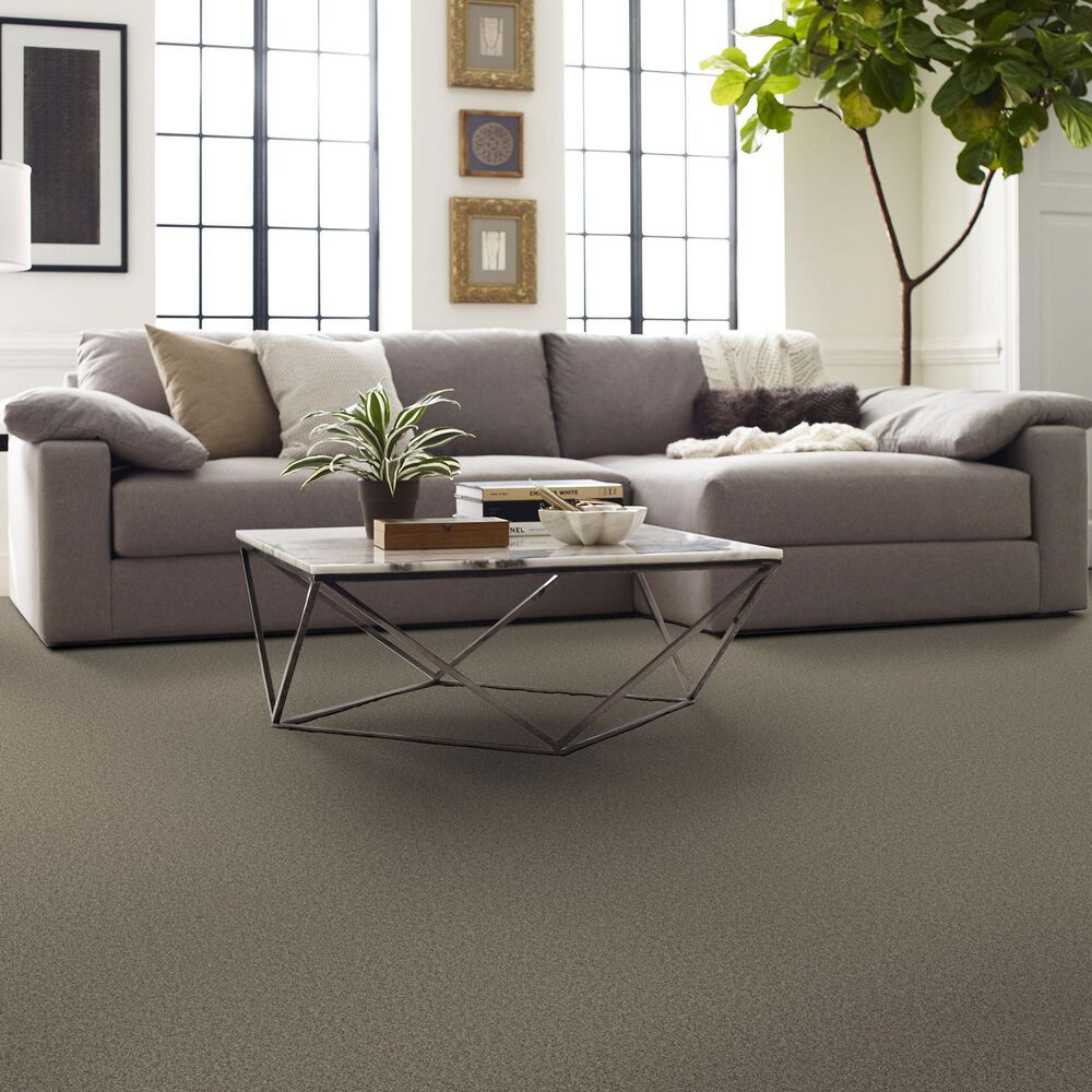 Shaw Comforting II Carpet in Boardwalk, , large