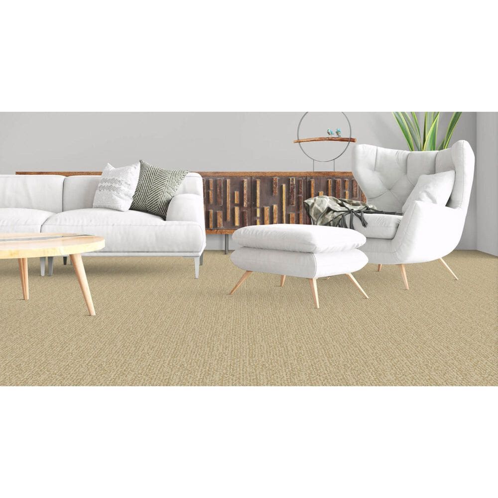 Masland Mesa Verde Carpet in Copley, , large
