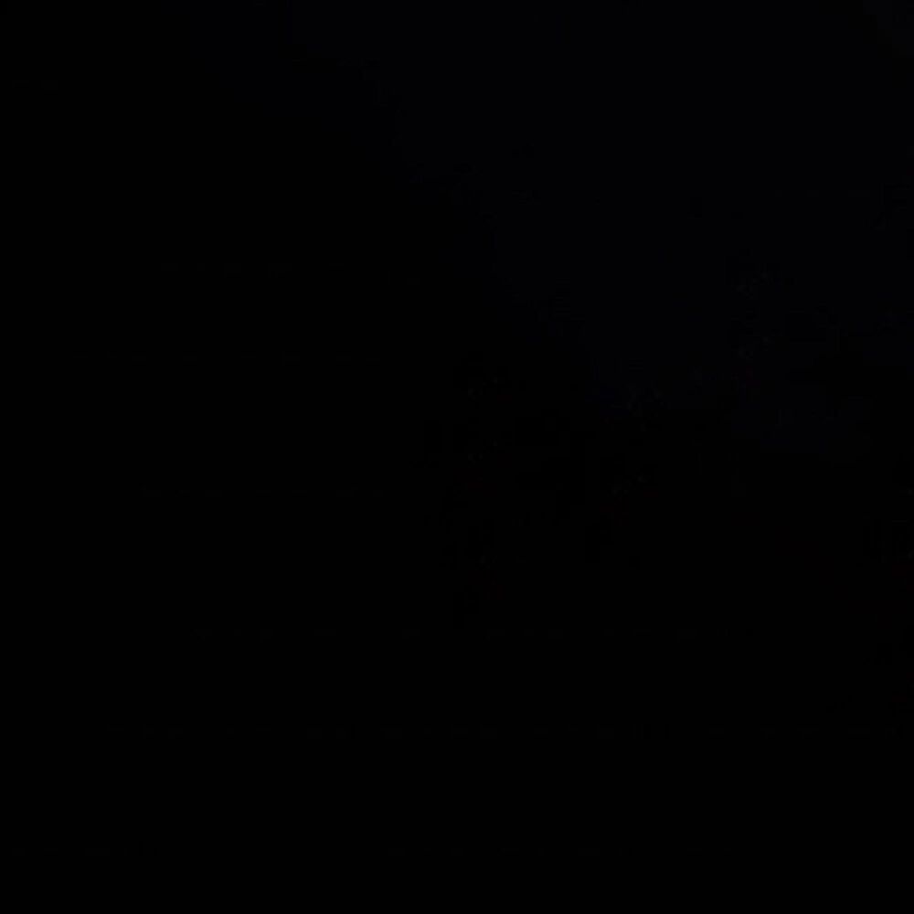 Furniture of America Elliot King Canopy Bed in Black, , large