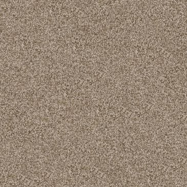 Dixie Home Herder Carpet in Spaniel, , large