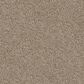 Dixie Home Herder Carpet in Spaniel, , large