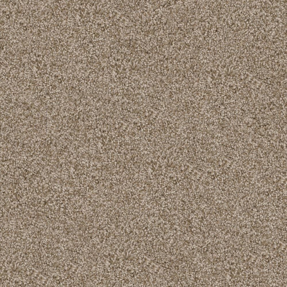 Dixie Home Herder Carpet in Spaniel, , large