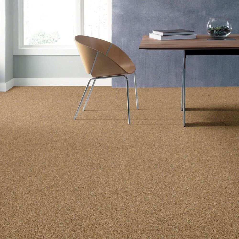 Shaw Acadia Park Carpet in Farro, , large