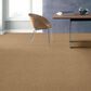 Shaw Acadia Park Carpet in Farro, , large