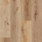 Paramount Bliss Dry Back Barley Grass 7" x 48" Luxury Vinyl Plank, , large