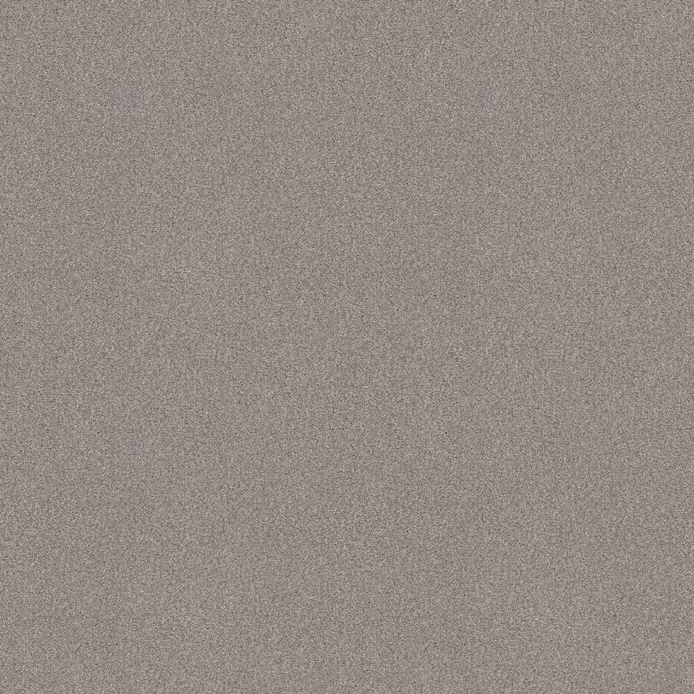 Shaw Tonal Comfort Ii Carpet in Whisper, , large