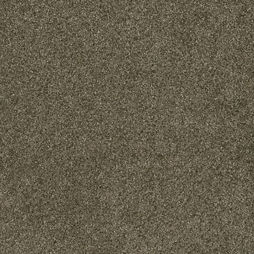 Dream Weaver Brazen II Carpet in Brandywine, , large