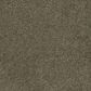 Dream Weaver Brazen II Carpet in Brandywine, , large