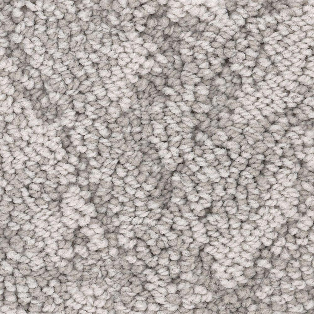 Anderson Tuftex Lavish Living Carpet in Cold Winter, , large