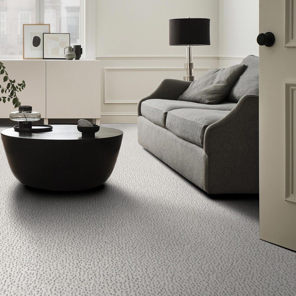 Anderson Tuftex Ambitious Carpet in First Frost, , large