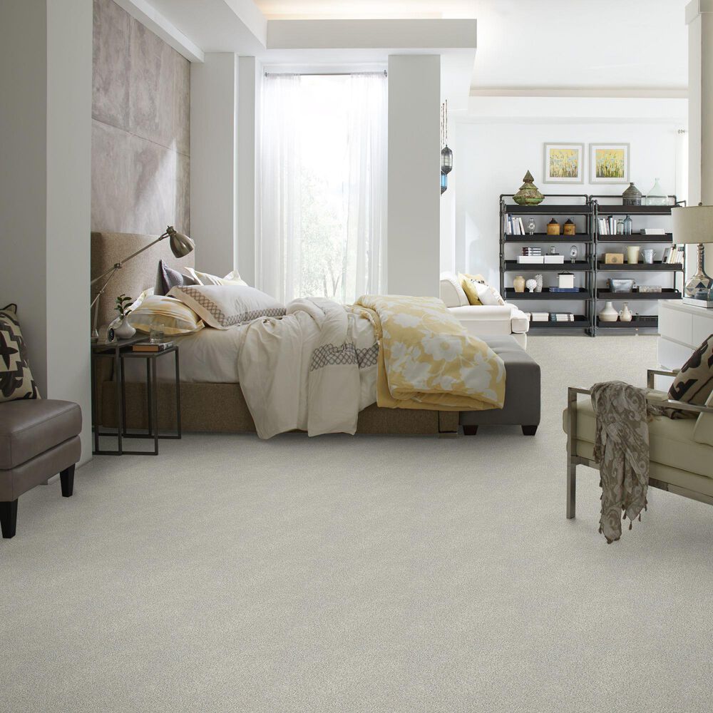 Shaw Find Your Comfort TT I Carpet in Refreshed, , large