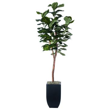 Fosters Point 7" New Designer Fig, , large