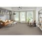 Phenix Catania Carpet in Journey, , large