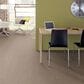 Shaw Elemental Mix I Carpet in Acreage, , large