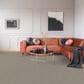 Dixie Home Worthington Carpet in Intensity, , large