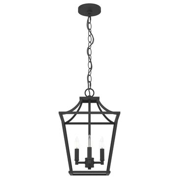 Hunter Laurel Ridge 12" 4-Light Lantern Pendant in Natural Iron, , large