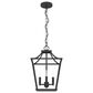 Hunter Laurel Ridge 12" 4-Light Lantern Pendant in Natural Iron, , large