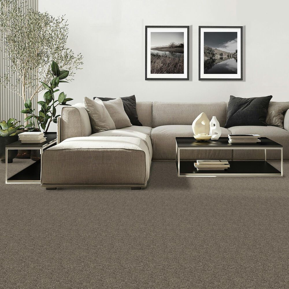 Mohawk Diffurent Choice II Carpet in Gravity, , large