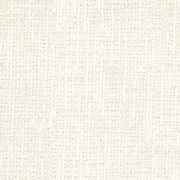 Dixie Home Speckles Carpet in Bobtail, , large