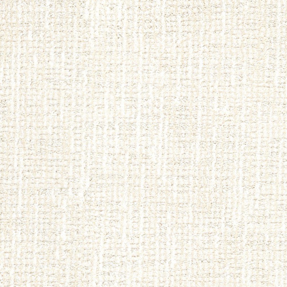 Dixie Home Speckles Carpet in Bobtail, , large