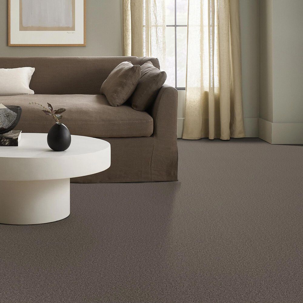 Anderson Tuftex Fabulous Carpet in Ottertail, , large