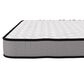 Grand Estate 6" Firm Foam Twin Mattress with Low Profile Box Spring, , large