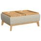 Emerald Home Furnishings Reverie Storage Ottoman with Tray White Pepper, , large