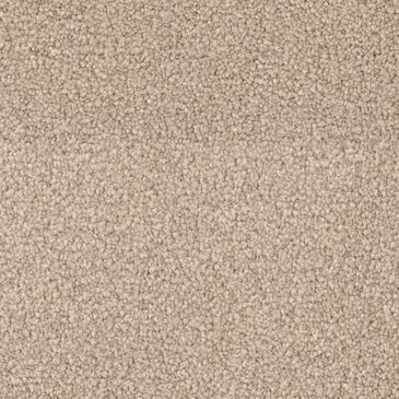 Dixie Home Gentle Wind Carpet in Sunrise, , large