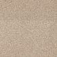 Dixie Home Gentle Wind Carpet in Sunrise, , large
