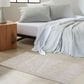 Nourison Wander 2" x 3" Grey Area Rug, , large