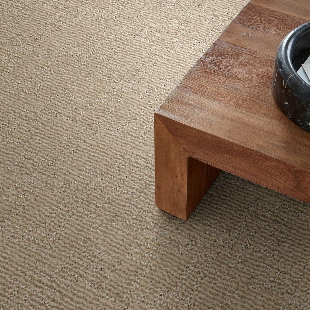 Anderson Tuftex Diego Carpet in Coastal Home, , large