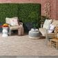 Nourison Positano 8" x 10" Beige Indoor/Outdoor Area Rug, , large