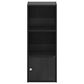 HOMLUX 3-Tier Shelf Bookcase with Door Storage Cabinet in Blackwood, , large