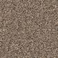 Shaw Wonderland II Carpet in Slate, , large